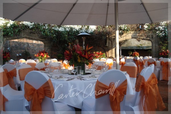 Carter Cherrill Image
