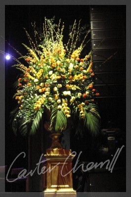Carter Cherrill Image