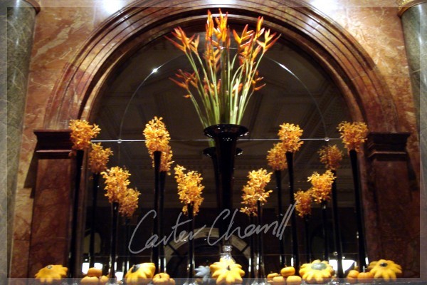 Carter Cherrill Image