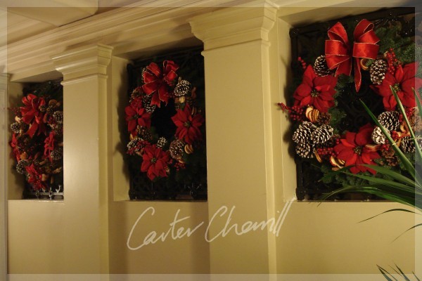 Carter Cherrill Image