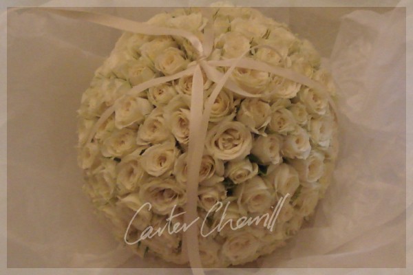 Carter Cherrill Image