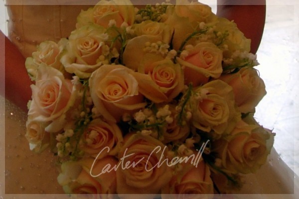 Carter Cherrill Image